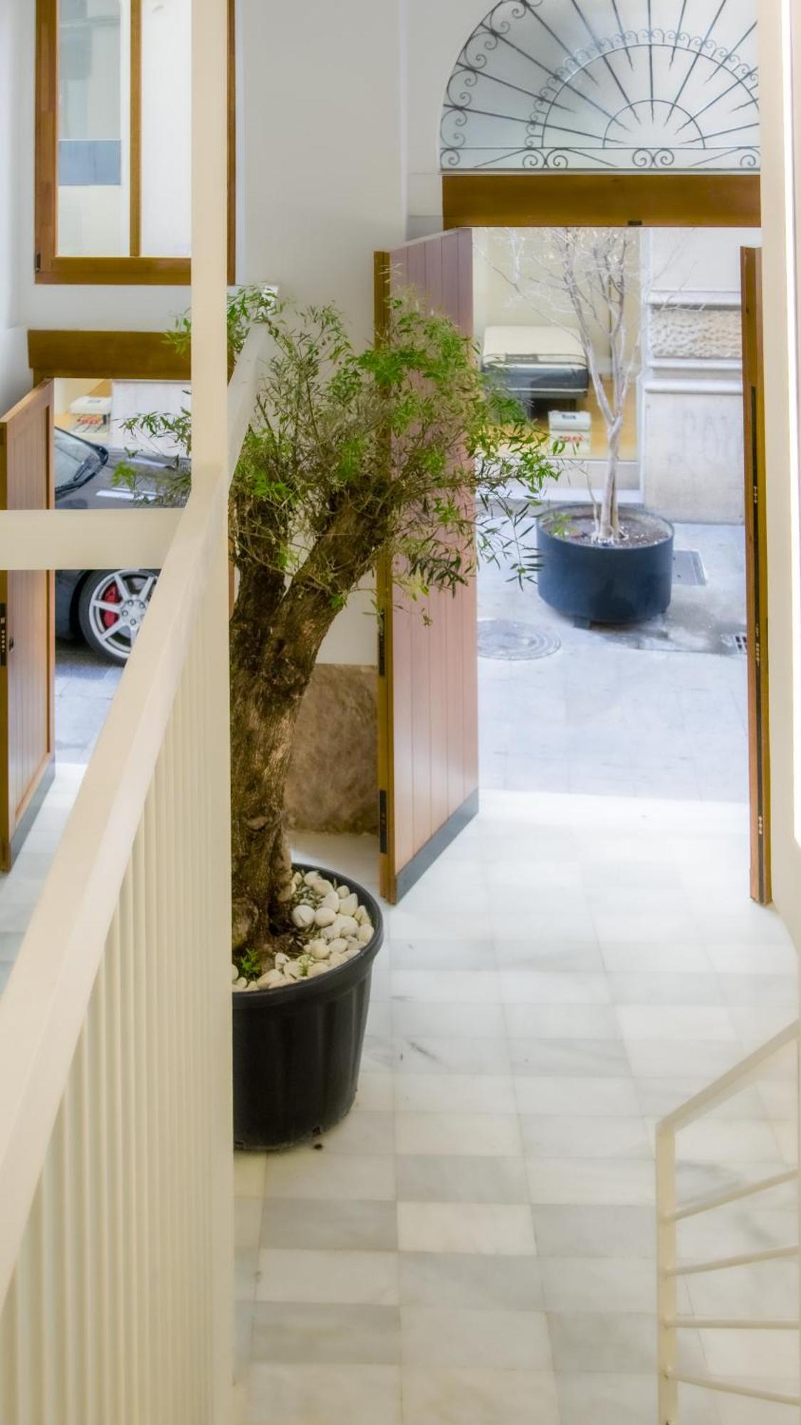 Catalina Suites Apartments Downtown Walencja Zewnętrze zdjęcie