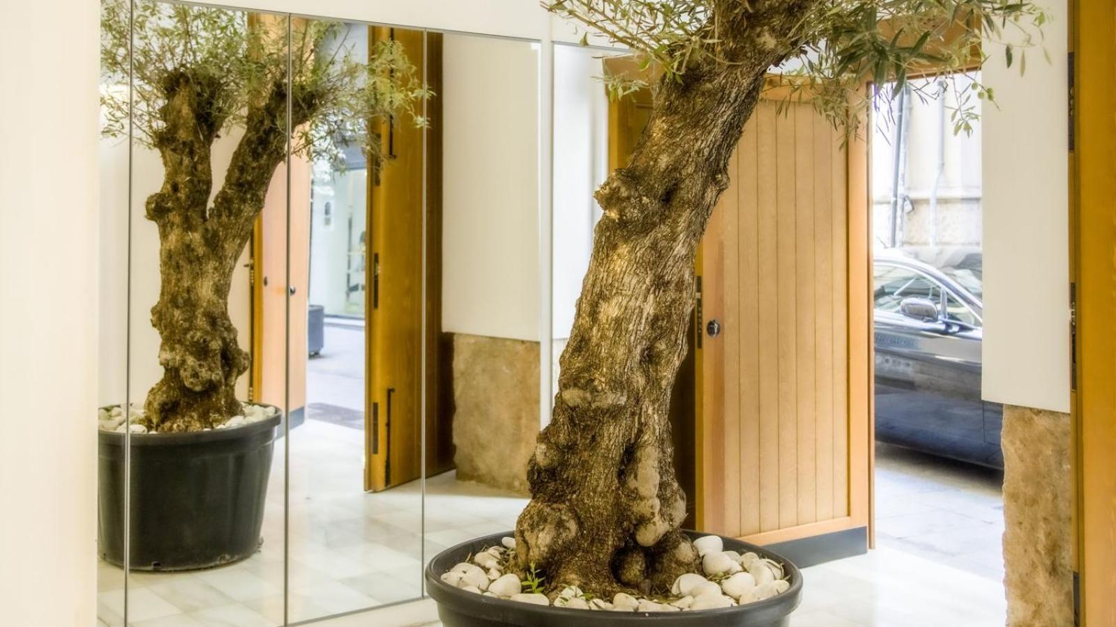Catalina Suites Apartments Downtown Walencja Zewnętrze zdjęcie